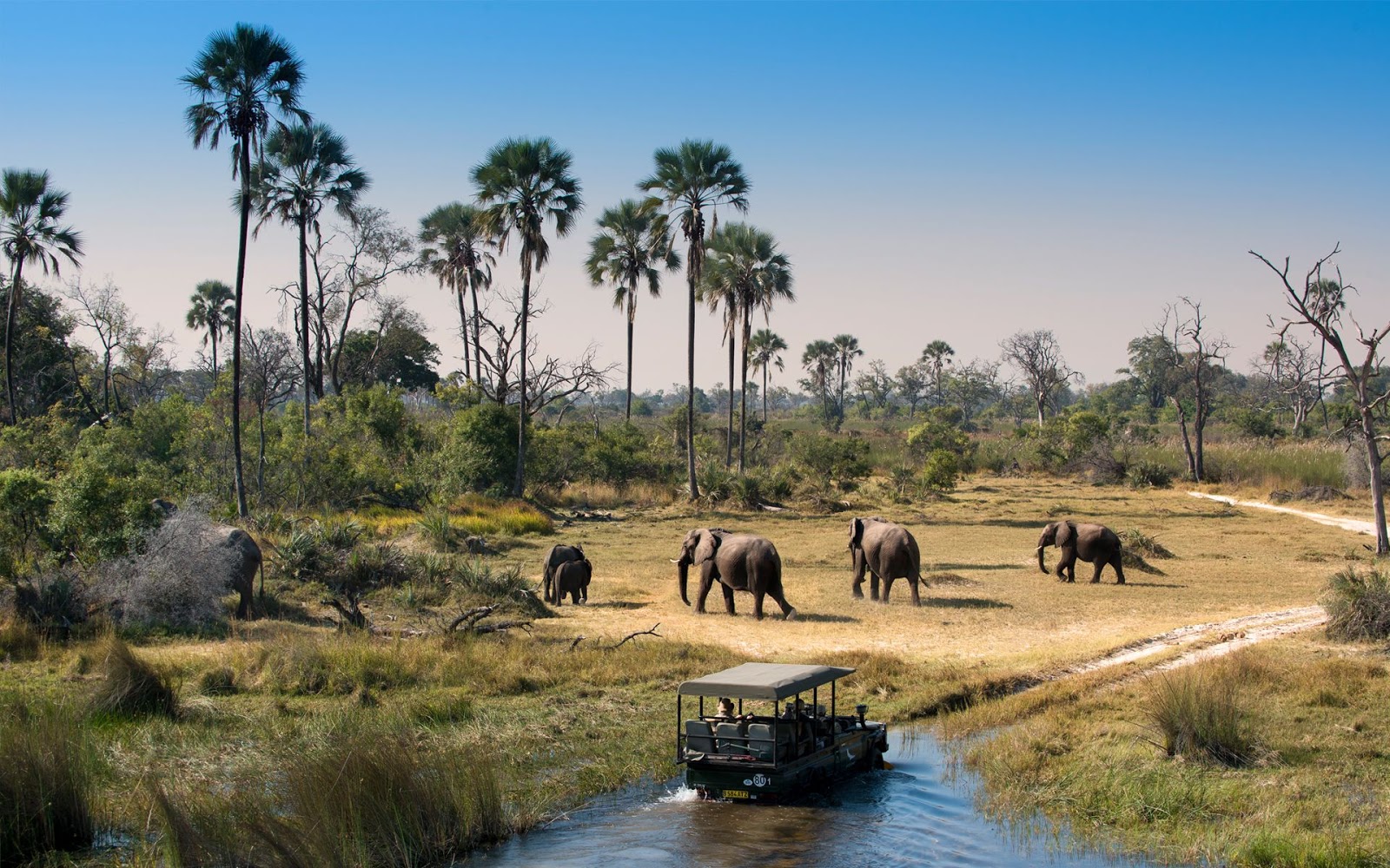 Okavango Delta