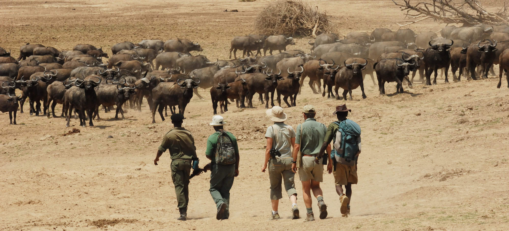 Zambia Wilderness